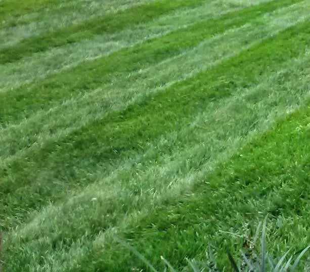 Professional lawn mowing service for outdoor upgrades across Marietta, GA - Magnolia Outdoor Solutions