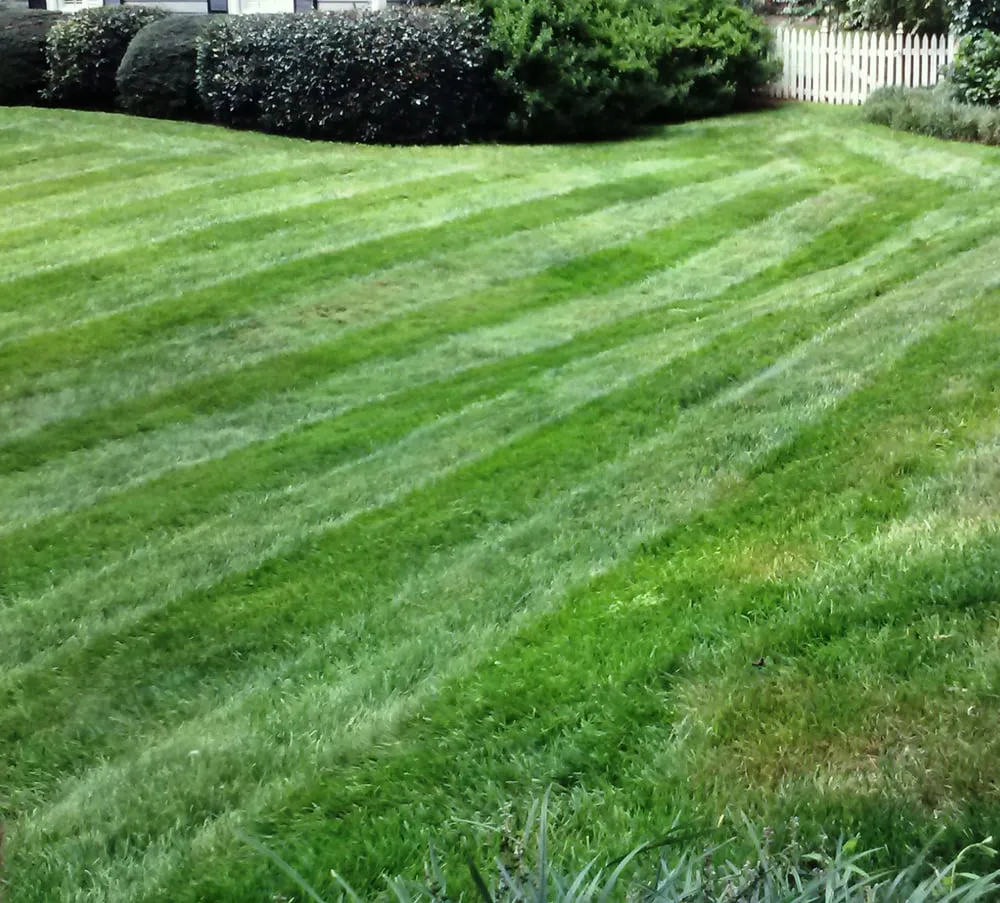 Expert lawn mowing service for homes across Marietta, GA - Magnolia Outdoor Solutions