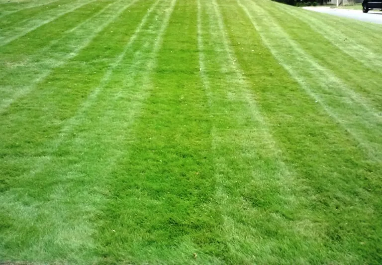 Professional landscape design with custom design across Marietta, GA - Magnolia Outdoor Solutions