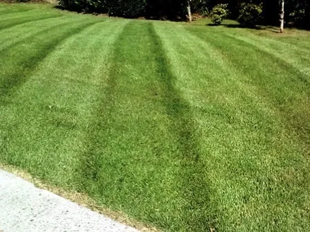 Trusted garden landscaping with custom design in Marietta, GA by Magnolia Outdoor Solutions