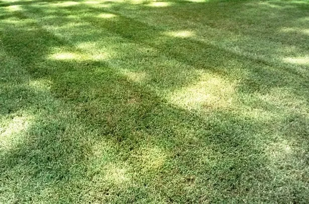 Custom lawn mowing service for outdoor upgrades in Marietta, GA by Magnolia Outdoor Solutions