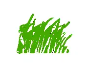 Magnolia Outdoor Solutions Logo