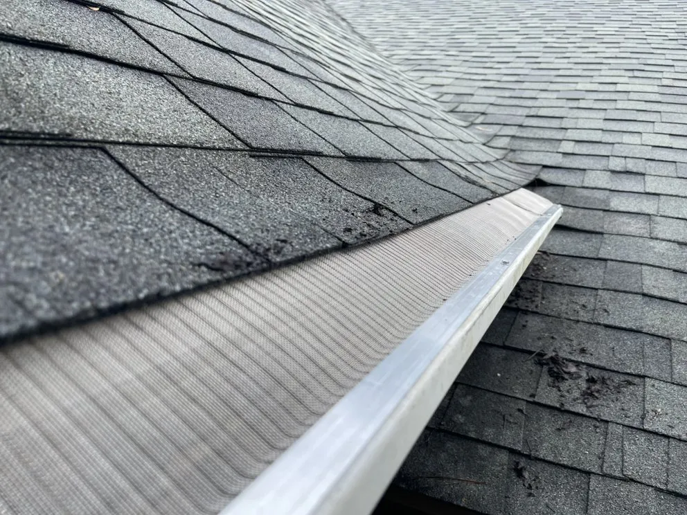 Custom yard cleanup service for beautiful yards across Tallahassee, FL - Magnolia Outdoor Solutions