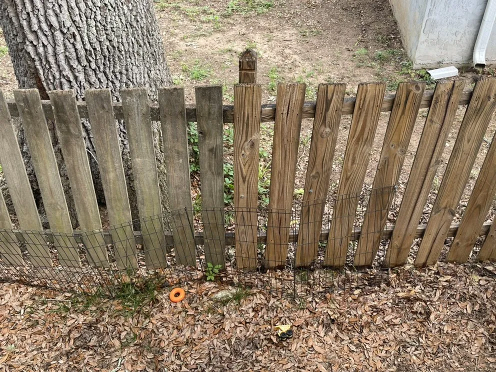 Custom lawn mowing service experts serving Tallahassee, FL - Magnolia Outdoor Solutions