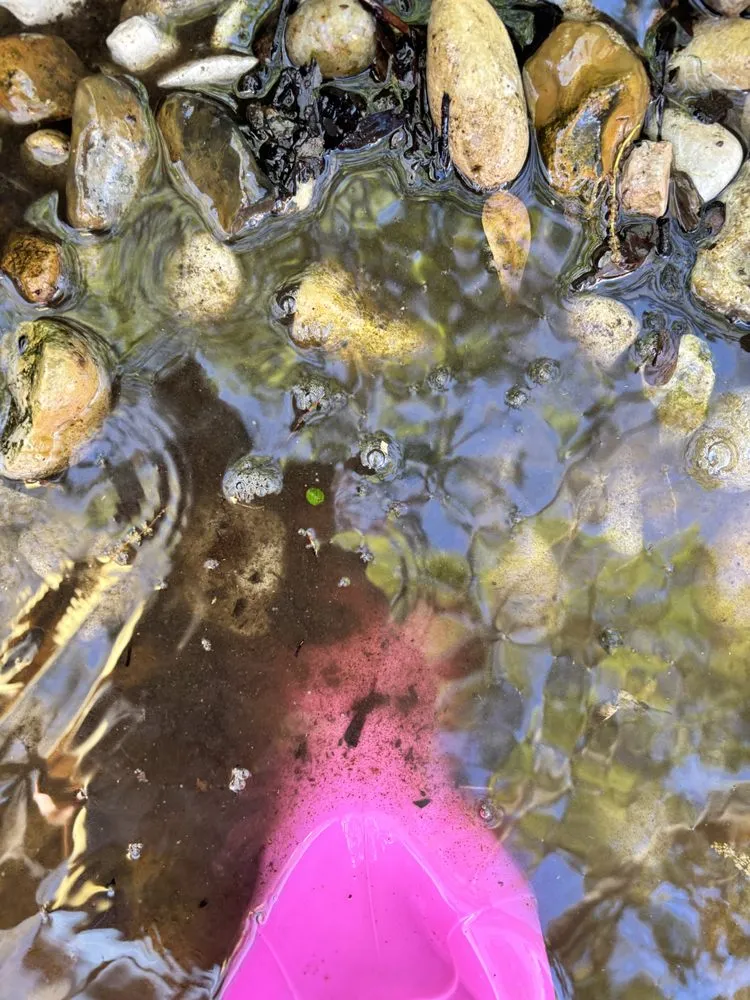 Expert landscaping services with custom design in Spring, TX by Magnolia Ponds