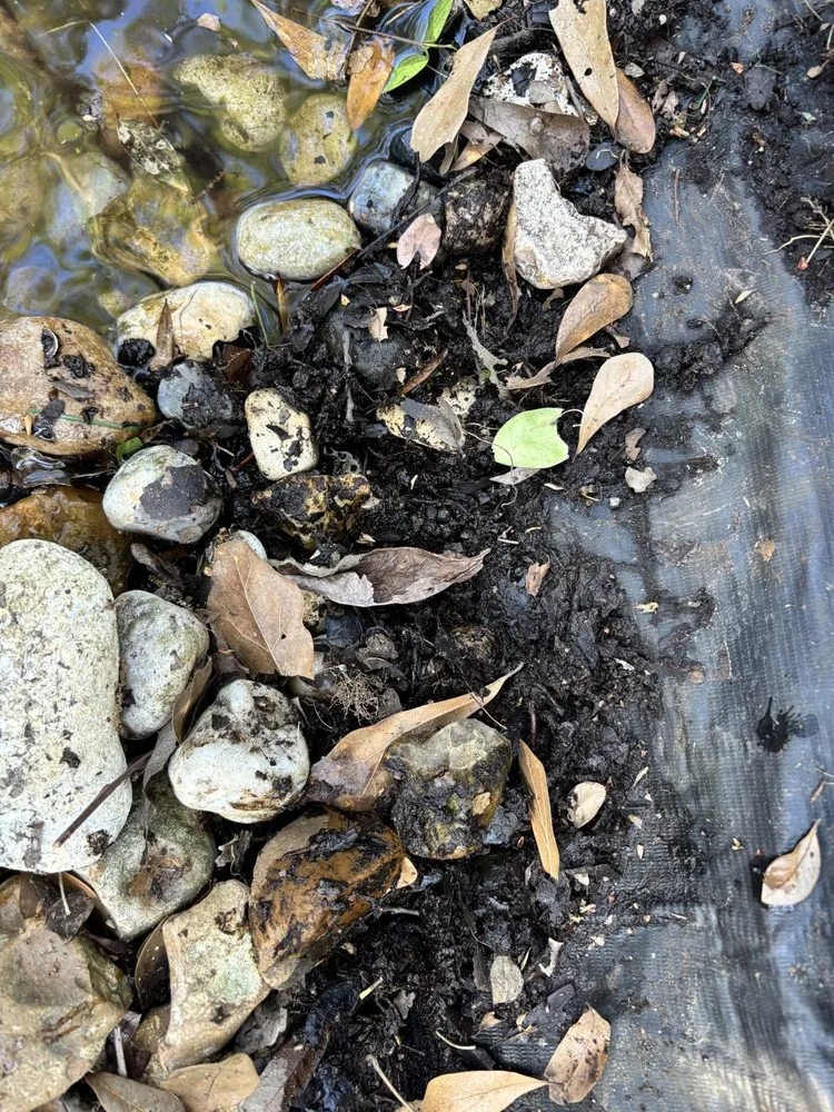 Local residential landscaping experts serving Spring, TX - Magnolia Ponds