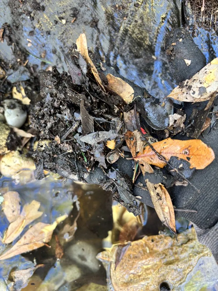 Reliable lawn mowing service in Spring, TX - Magnolia Ponds