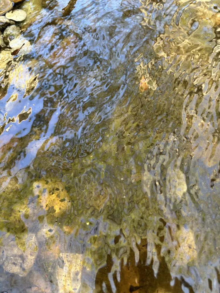 Reliable lawn care service for year-round maintenance across Spring, TX - Magnolia Ponds