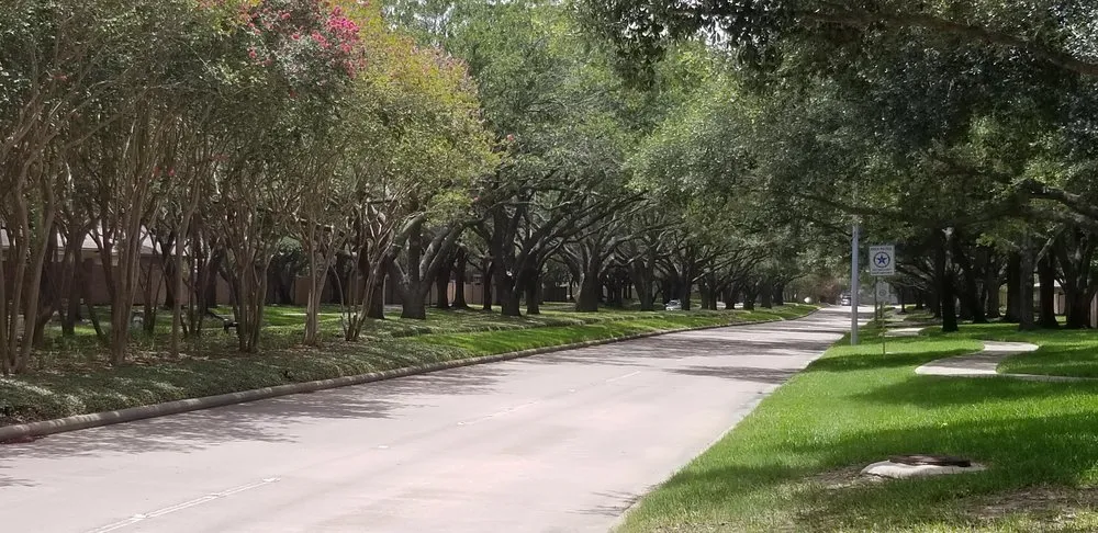 Professional residential landscaping for residential properties in Humble, TX by Magnolia Real Estate Services