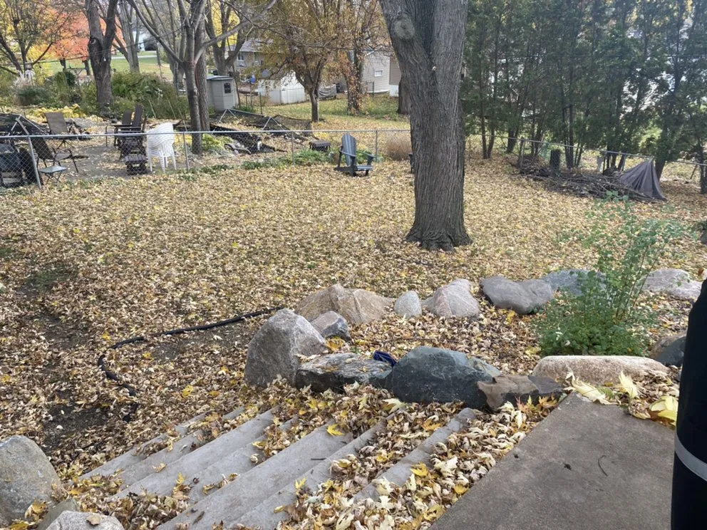 Trusted outdoor landscaping in Hopkins, MN by Magnolia Services