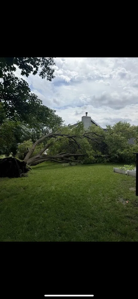 Local residential landscaping experts serving Hopkins, MN - Magnolia Services