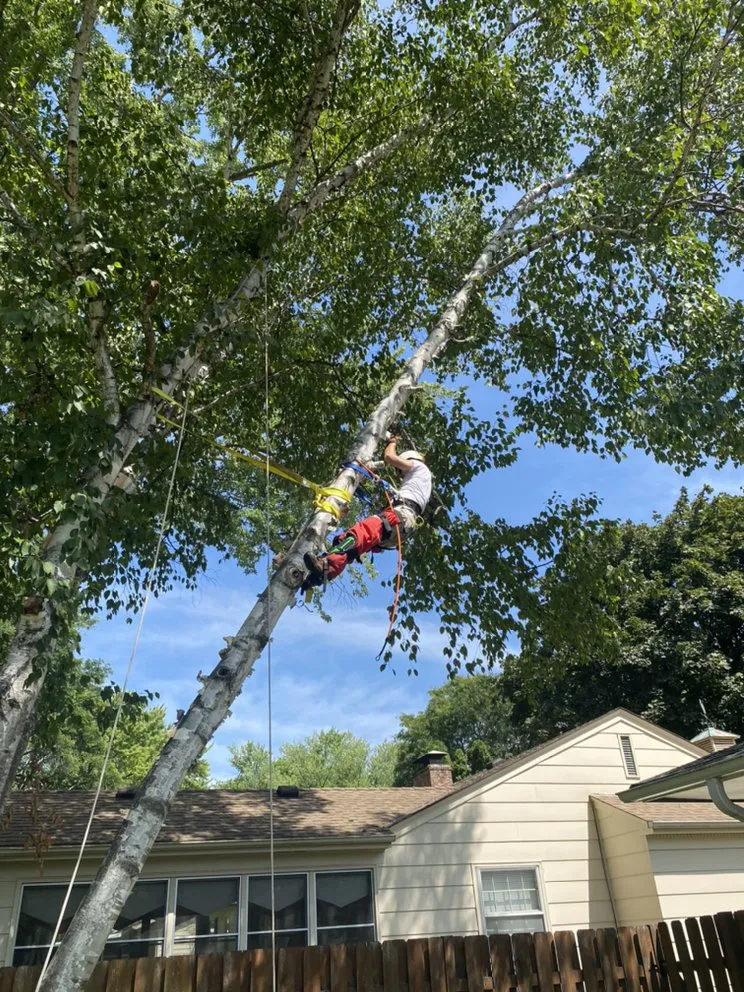 Reliable landscape design with custom design in Hopkins, MN by Magnolia Services