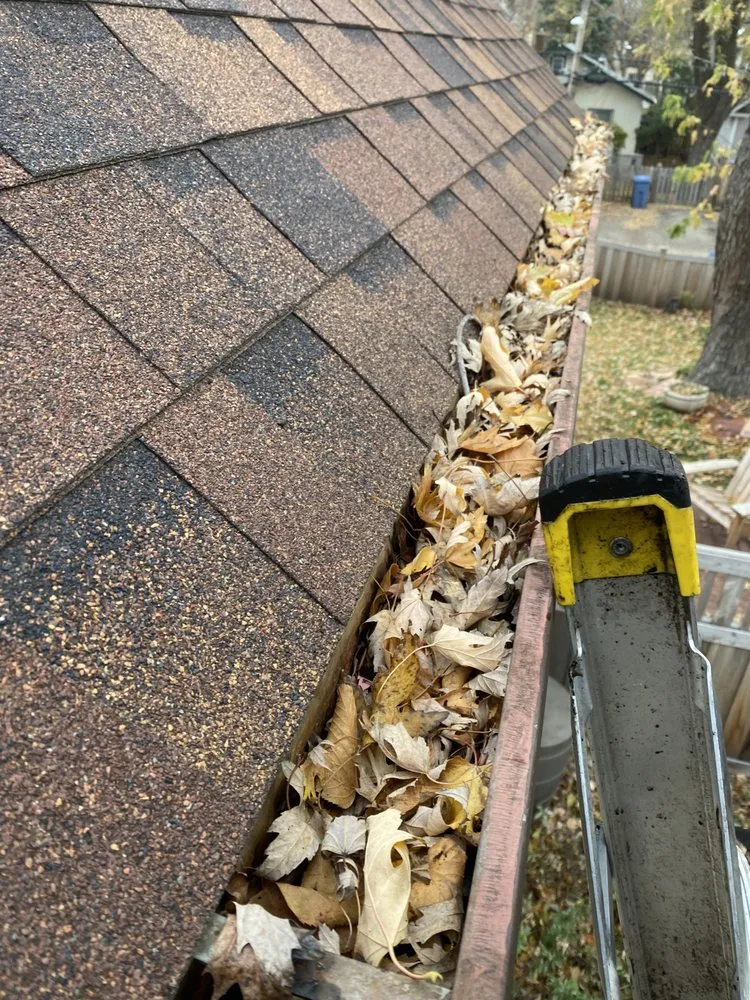 Expert landscape design near you across Hopkins, MN - Magnolia Services