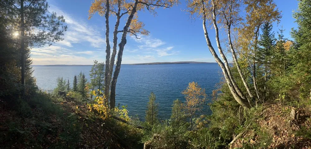 Local outdoor landscaping in Hopkins, MN by Magnolia Services