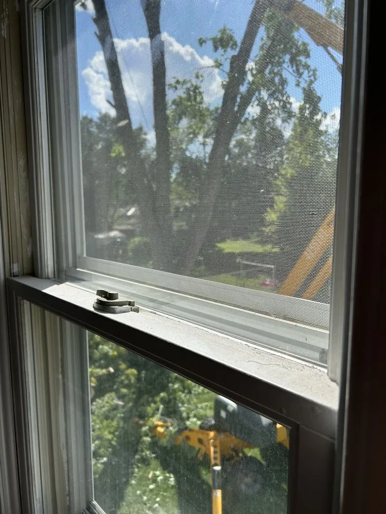 Expert landscape installation in Hopkins, MN by Magnolia Services