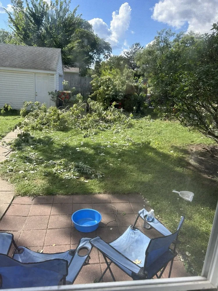 Trusted yard maintenance for outdoor upgrades across Hopkins, MN - Magnolia Services