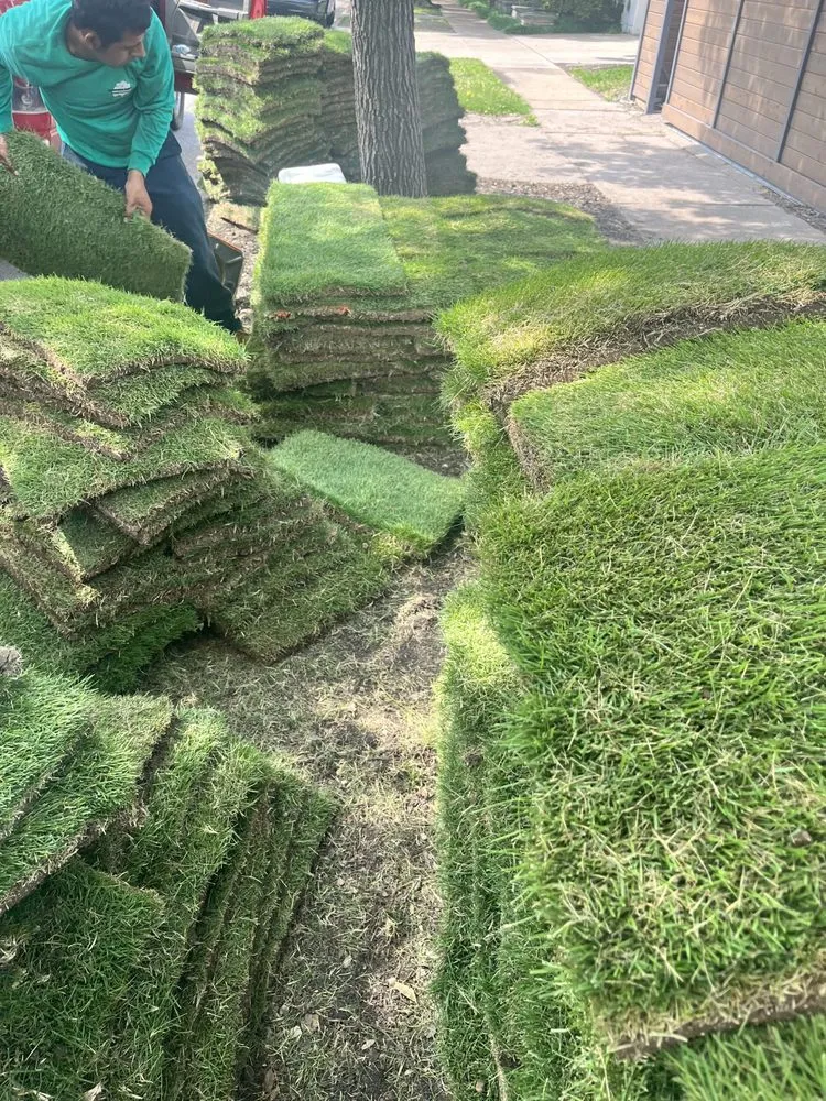 Expert residential landscaping in Irving, TX - Magnolia Sod Turf & Landscape Services