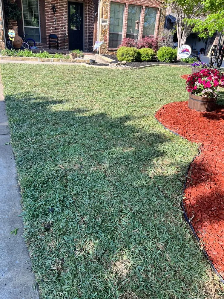 Trusted yard cleanup service in Irving, TX - Magnolia Sod Turf & Landscape Services