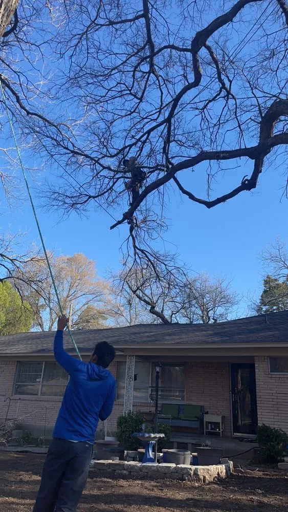 Local lawn care service with custom design across Irving, TX - Magnolia Sod Turf & Landscape Services