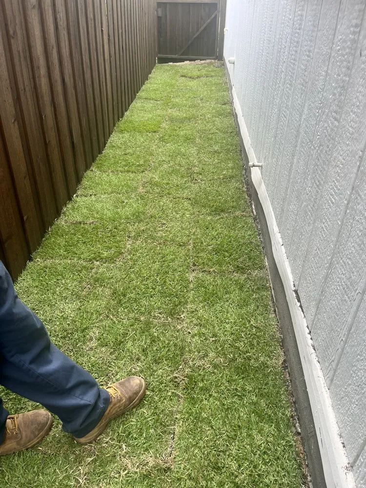 Expert yard cleanup service experts serving Irving, TX - Magnolia Sod Turf & Landscape Services