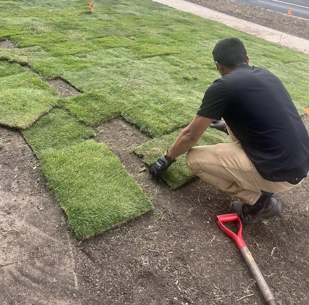 Custom outdoor landscaping in Irving, TX - Magnolia Sod Turf & Landscape Services