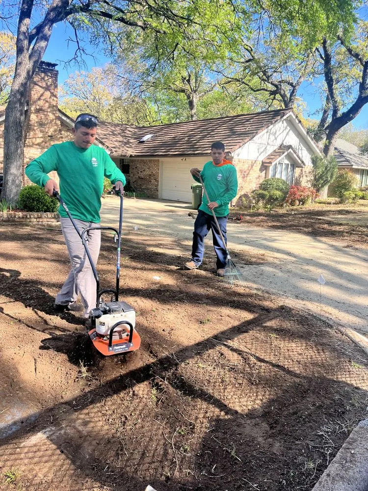 Professional yard cleanup service with custom design across Irving, TX - Magnolia Sod Turf & Landscape Services