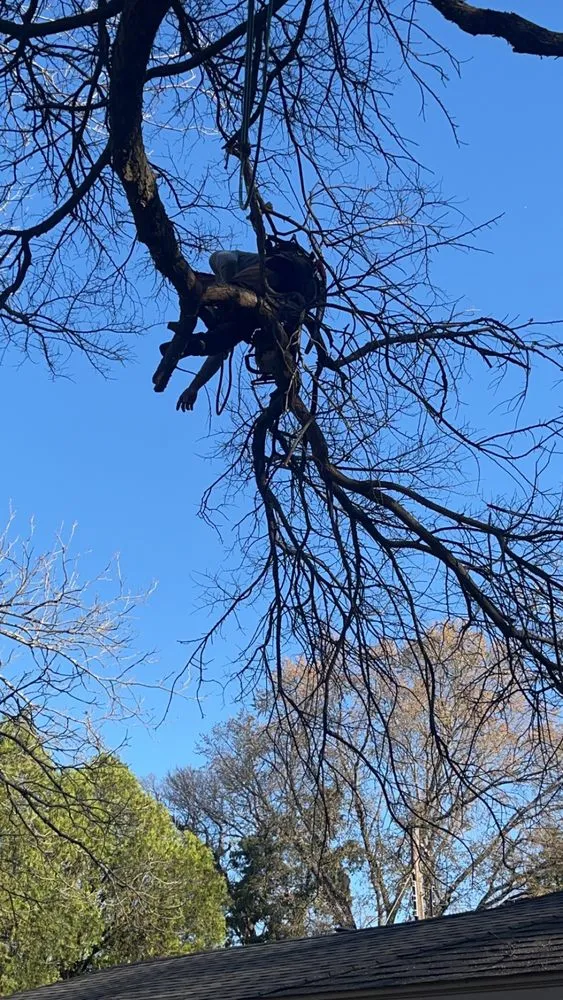 Expert landscape installation in Irving, TX by Magnolia Sod Turf & Landscape Services