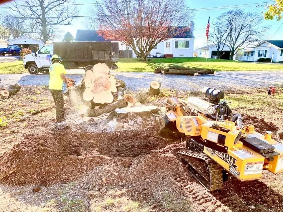 Local lawn care service for homes across New Windsor, MD - Magnolia Tree & Landscape Specialist