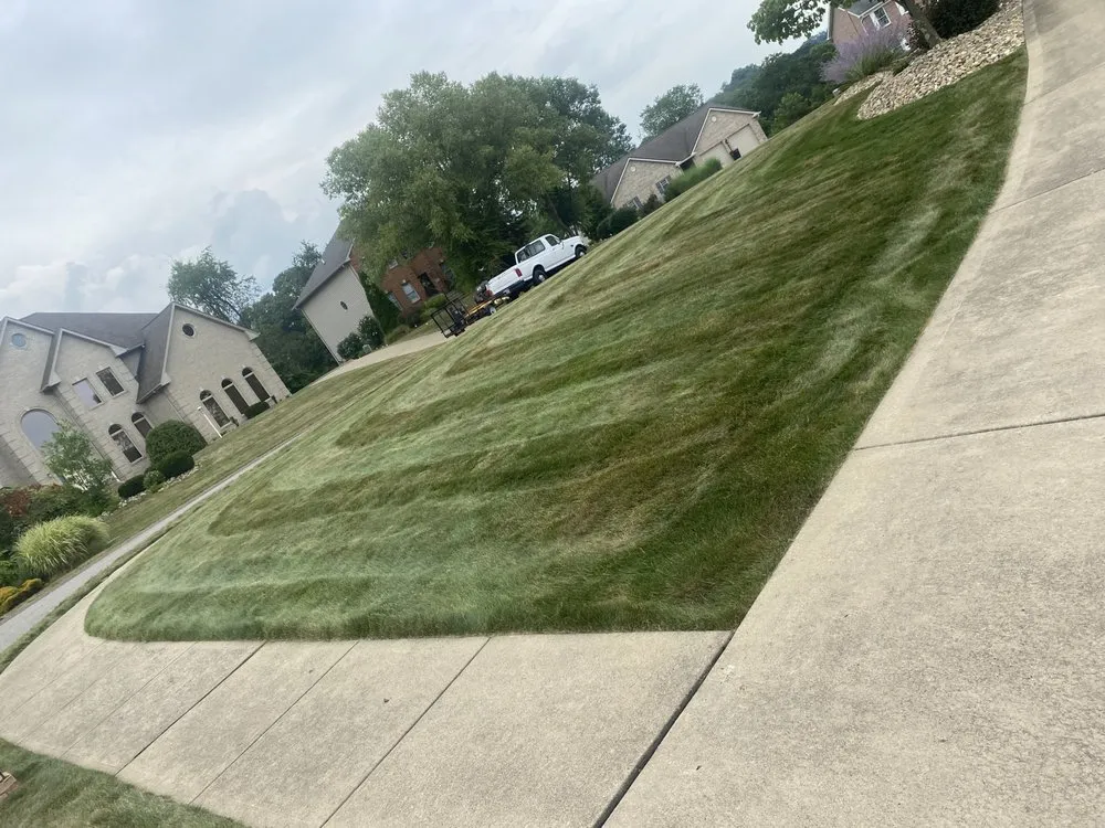 Affordable yard cleanup service in Coraopolis, PA by Magnus landscapes