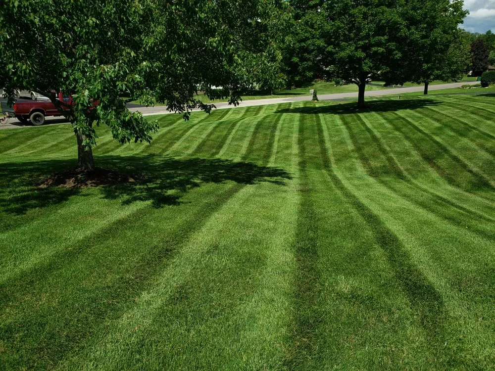 Top-rated yard cleanup service in South Beloit, IL by Magnuson landscaping and lawncare