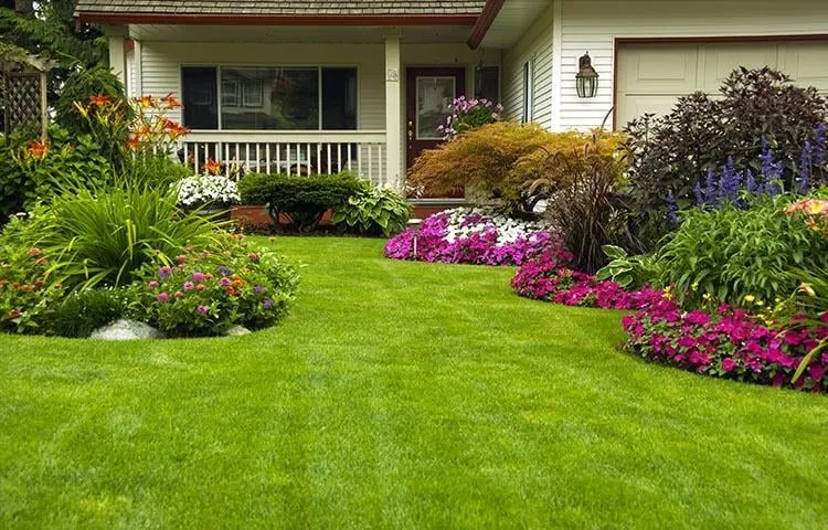 Local yard cleanup service in Lakewood, WA - Mago Landscaping Services