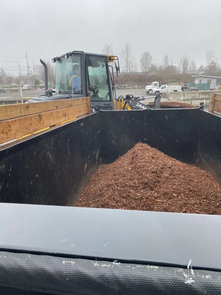 Local lawn care service experts serving Lakewood, WA - Mago Landscaping Services