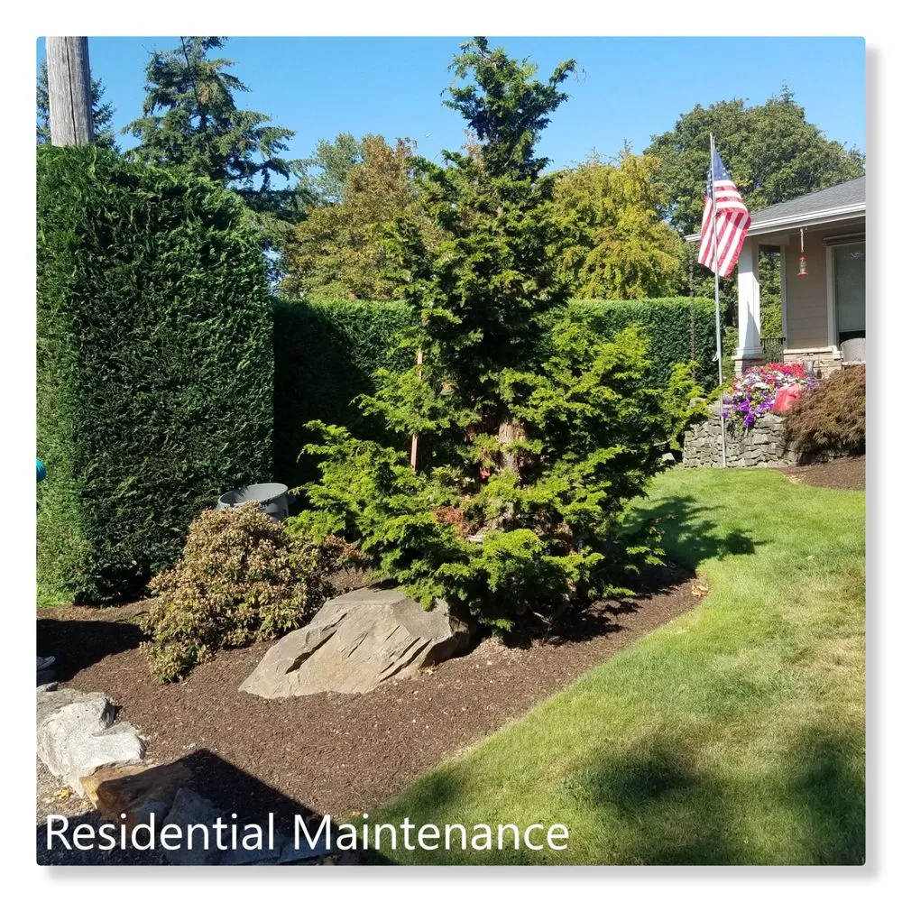 Reliable residential landscaping near you in Lakewood, WA by Mago Landscaping Services