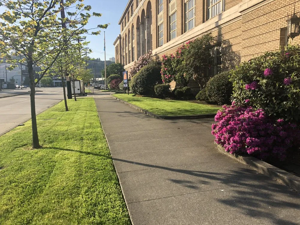Reliable landscaping services in Lakewood, WA by Mago Landscaping Services