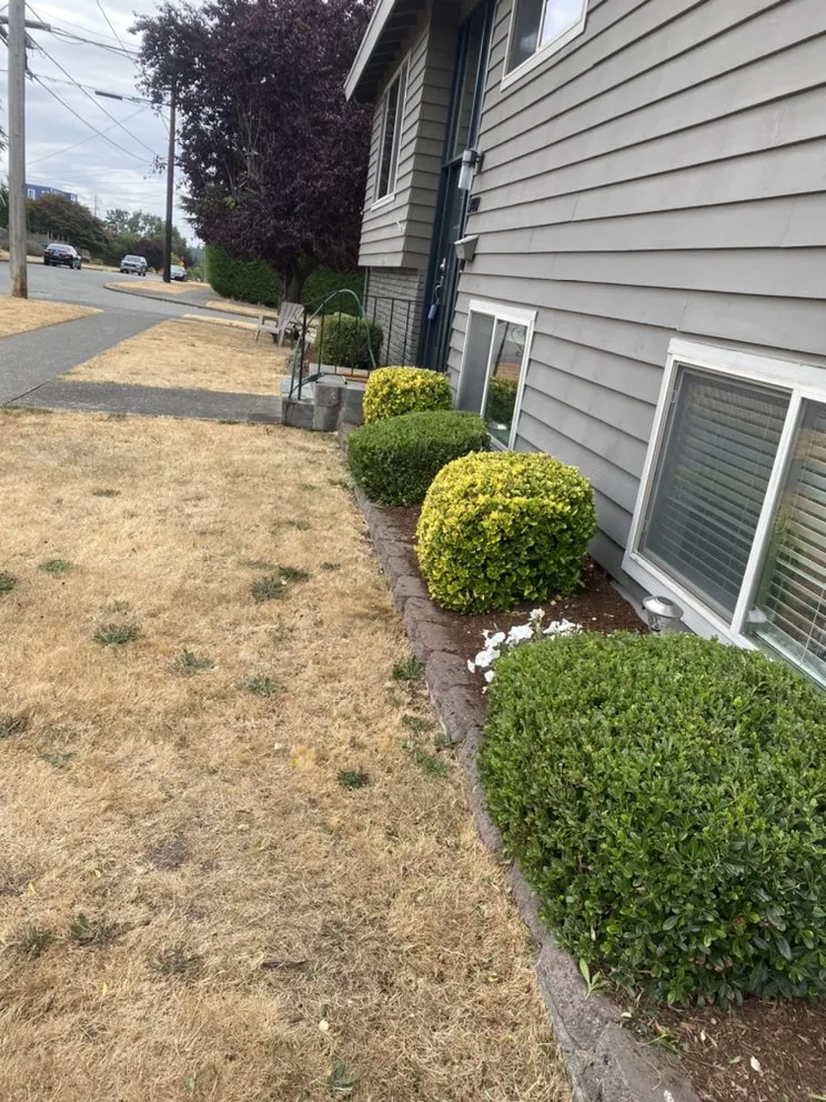 Professional landscape design for beautiful yards across Bothell, WA - Mag’s Landscaping Services