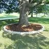Professional lawn mowing service for outdoor upgrades in Ivesdale, IL by Magsamen Landscapes