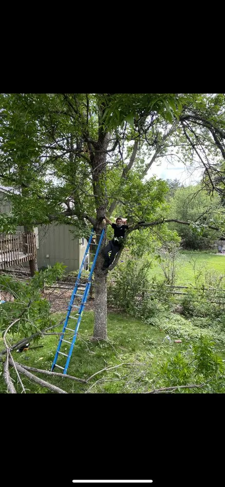 Affordable outdoor landscaping in Englewood, CO by Maguire Management and Maintenance
