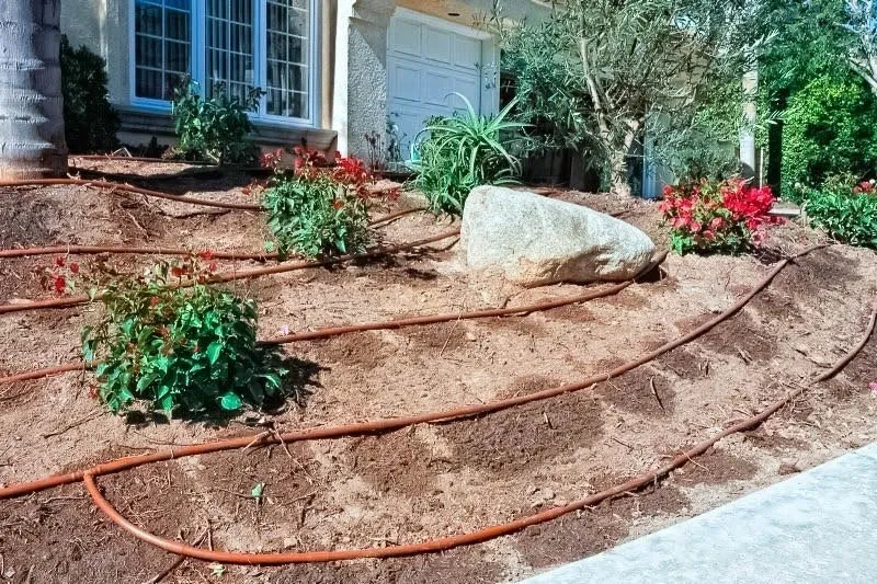 Professional lawn care service in Garden Grove, CA - Magy Gardening & Landscaping