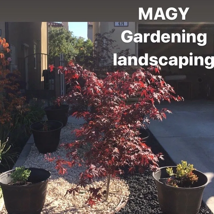 Reliable landscape installation experts serving Garden Grove, CA - Magy Gardening & Landscaping
