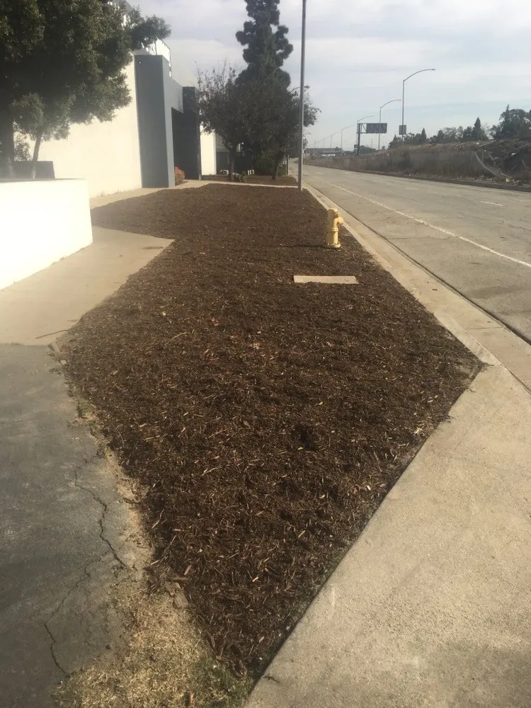 Expert lawn care service for beautiful yards across Garden Grove, CA - Magy Gardening & Landscaping