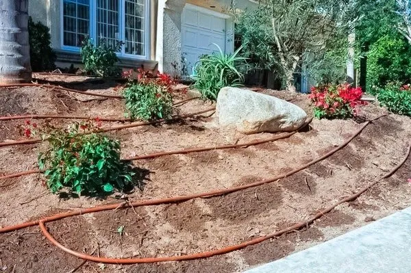 Magy Gardening & Landscaping Logo