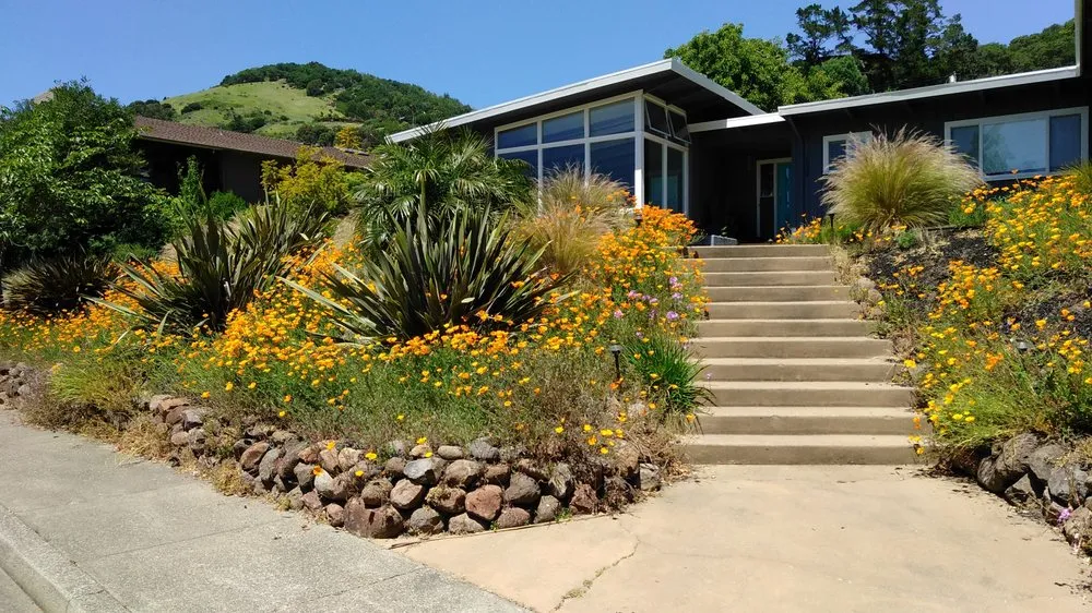 Trusted landscape design experts serving Sonoma, CA - M.A.H Landscape Design, Consulting, and Construction