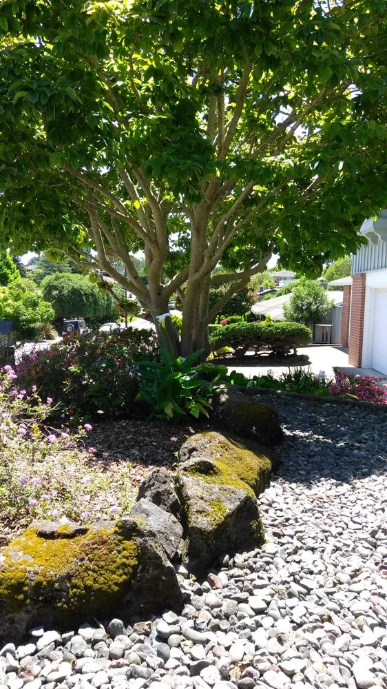 Expert landscaping services experts serving Sonoma, CA - M.A.H Landscape Design, Consulting, and Construction