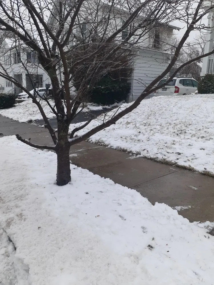 Custom landscaping services experts serving Albany, NY - Maher & Brown Property Services