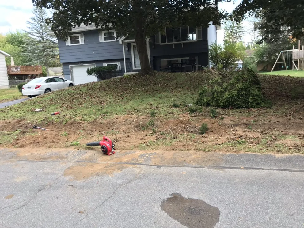 Reliable landscape design experts serving Albany, NY - Maher & Brown Property Services