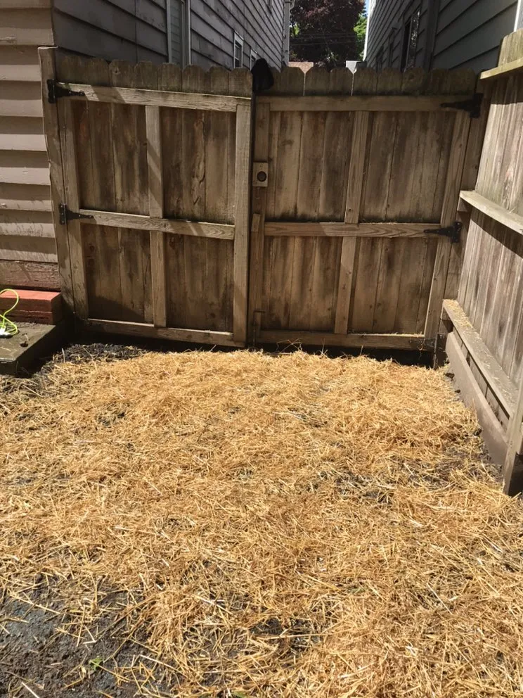 Reliable residential landscaping experts serving Albany, NY - Maher & Brown Property Services