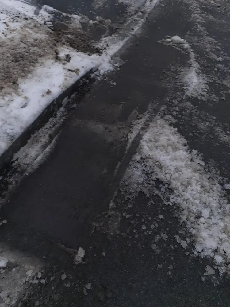 Trusted landscape design experts serving Albany, NY - Maher & Brown Property Services