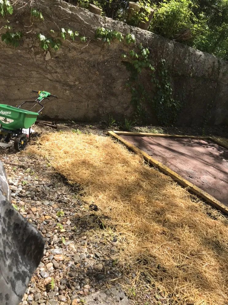 Top-rated yard maintenance for residential properties across Albany, NY - Maher & Brown Property Services