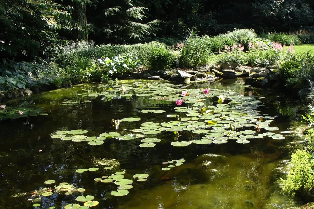 Reliable outdoor landscaping in Stamford, CT - Maher & Greenwald Fine Gardens