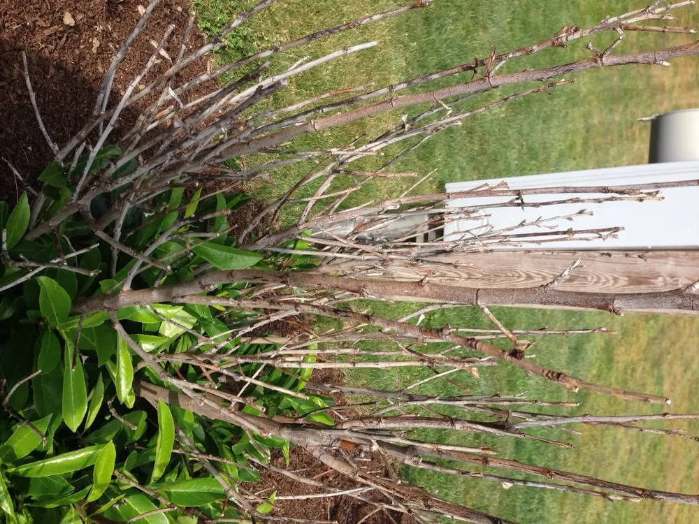 Affordable outdoor landscaping experts serving Stamford, CT - Maher & Greenwald Fine Gardens